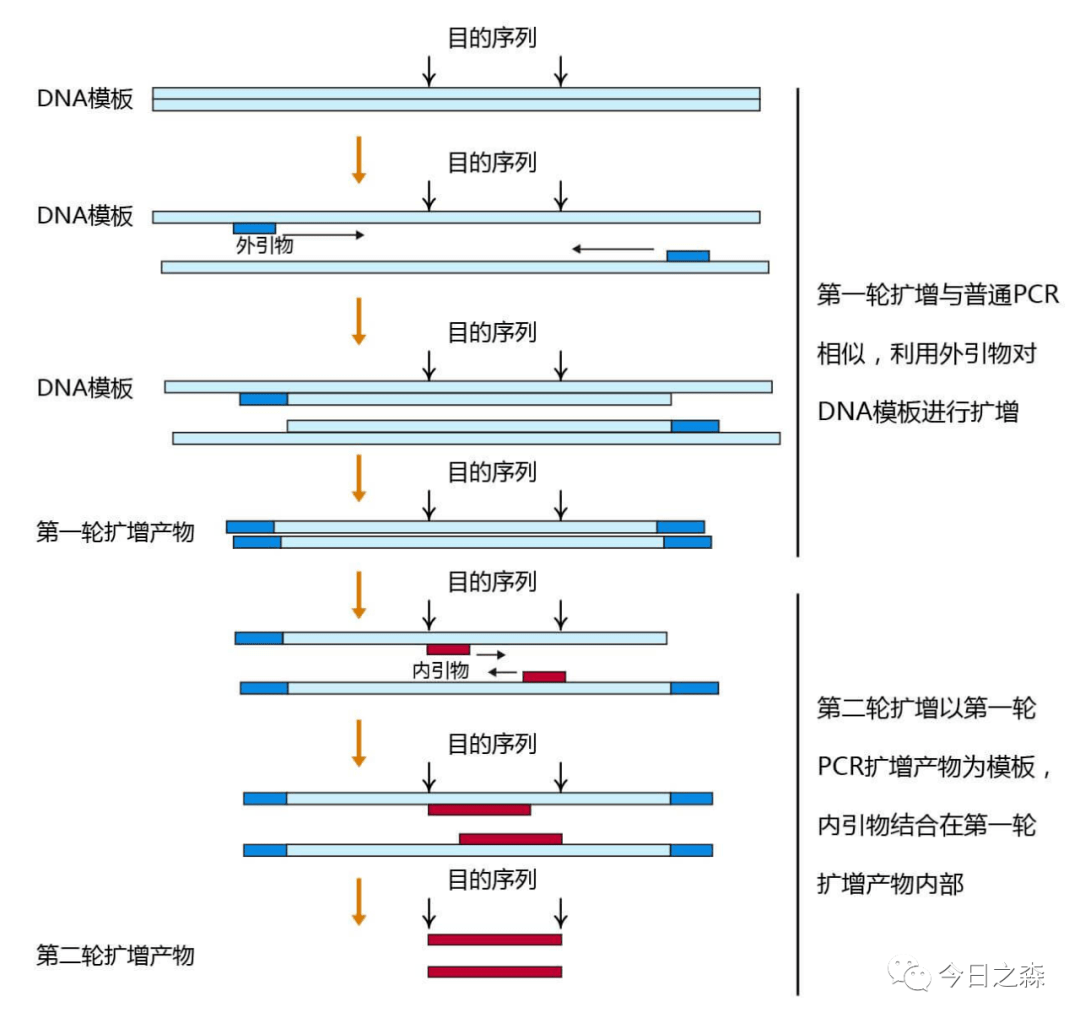 PCR扩增仪原理详解