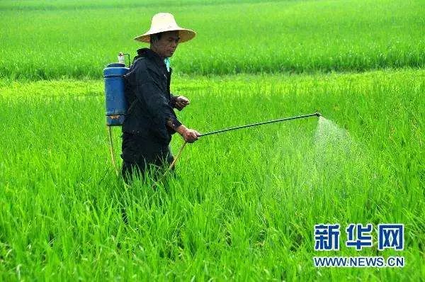 石灰除草，一种有效的自然除草方法